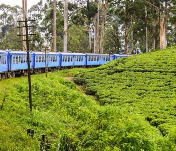 Nuwaraeliya